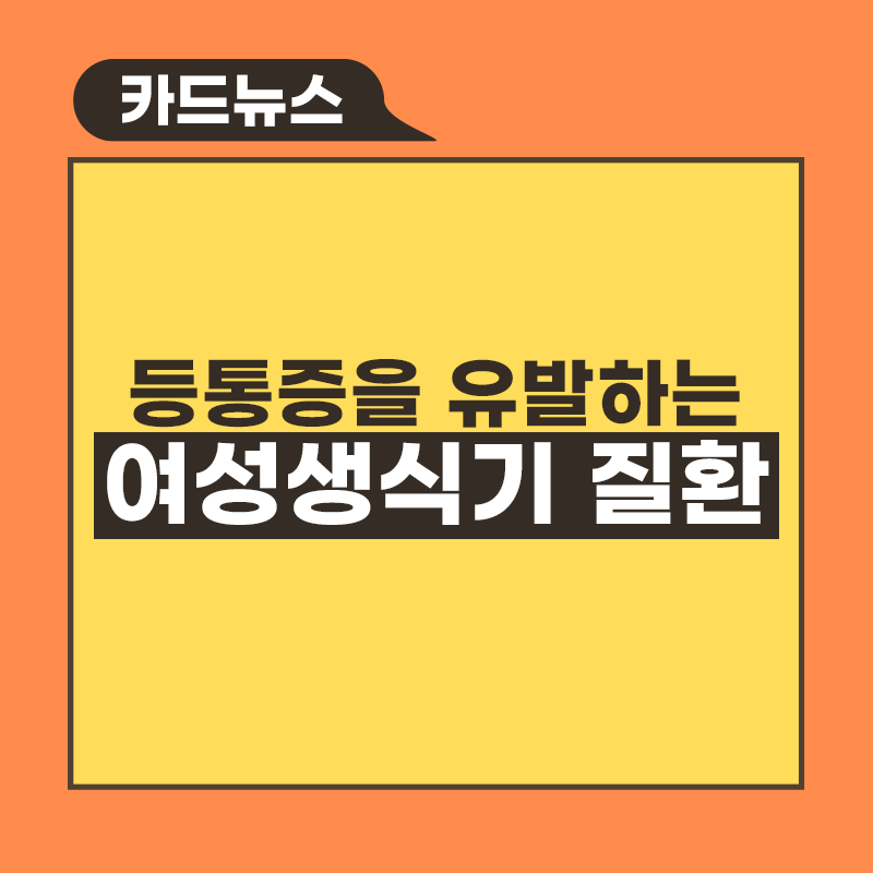 등 통증을 유발하는 여성생식기 질환